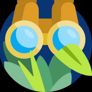 Animales de la selva