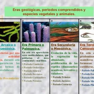 Imagen de portada del videojuego educativo: PERIODOS GEOLÓGICOS DE LA MADRE TIERRA, de la temática Geografía