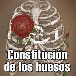 CONSTITUCIÓN DE LOS HUESOS 2