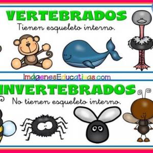 INVERTER