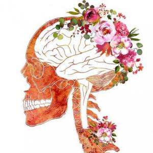 factores que influyen en los determinantes
