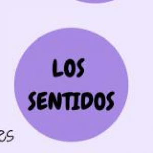 Los sentidos