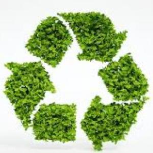 Imagen de portada del videojuego educativo: la sostenibilidad, de la temática Medio ambiente