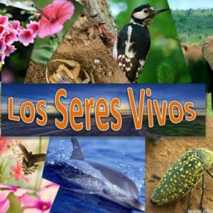 Seres vivos
