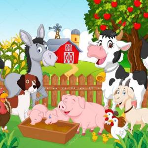 CIENCIAS NATURLES 1º DE PRIMARIA 2