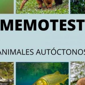 Mnemotecnia