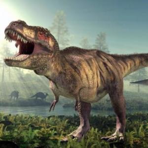 Dinosaurios y sus huellas