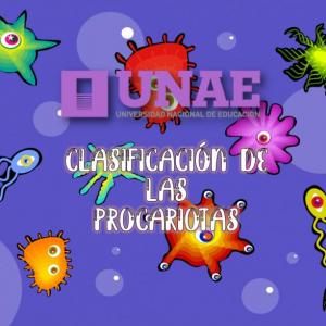CLASIFICACIÓN DE LAS PROCARIOTAS