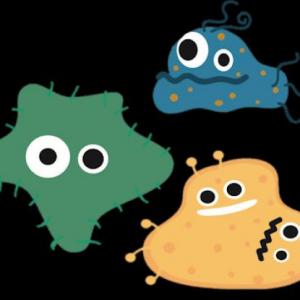 CLASIFICACIÓN DE LAS BACTERIAS