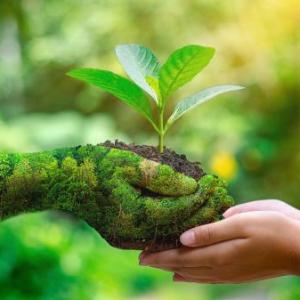 DESAFIO AMBIENTAL