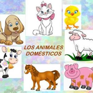 ANIMALANDIA