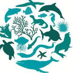 Patrones y tipos de biodiversidad