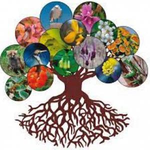 Biodiversidad Eq1