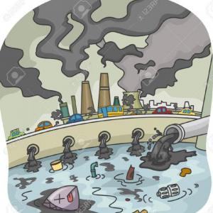 Imagen de portada del videojuego educativo: METACOGNICIÓN, de la temática Medio ambiente