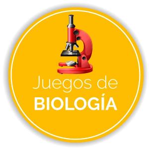 ¿A QUÉ CORRESPONDE?
