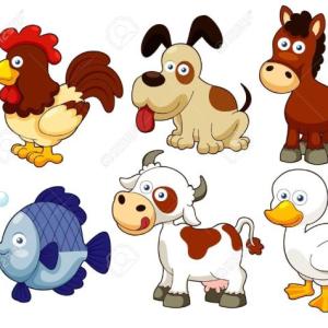 Animales domesticos
