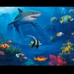 Imagen de portada del videojuego educativo: trivia animales del mar, de la temática Ciencias