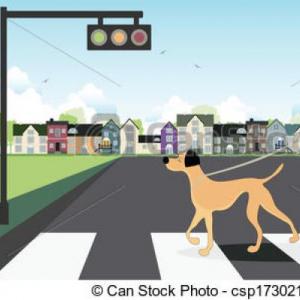 Directions game