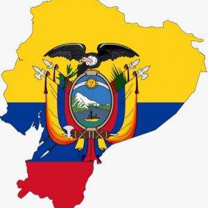 Adivina