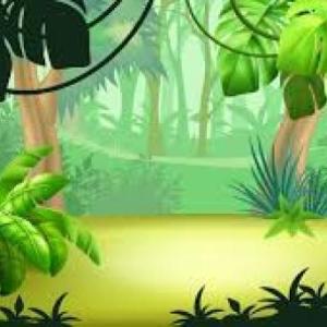 Nombramos a los animales de la selva 