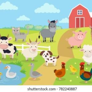 animales de la granja