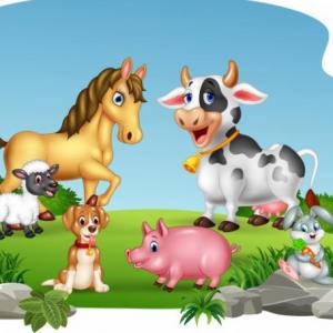 THE ANIMALS