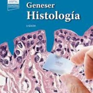 Sistema inmunológico (2)