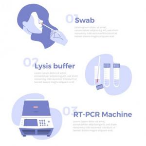 PCR: Materiales