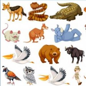 LOS ANIMALES