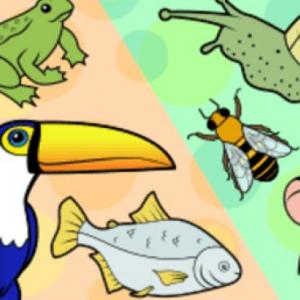 Animales vertebrados e Invertebrados