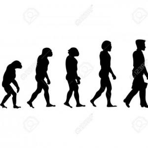 Teorías evolutivas actuales 