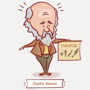 EVOLUCIÓN