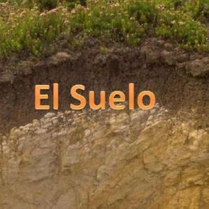 ¿QUÉ SABES SOBRE EL SUELO?