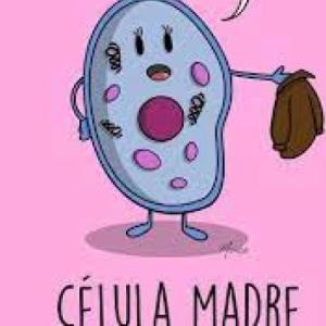 Aprendiendo con humor.