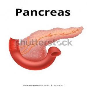MEMORAMA PANCREAS (AMILASA Y LIPASA)