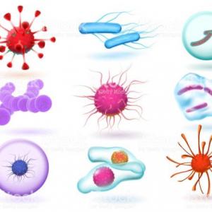 Microbiología, muestreo y seguridad