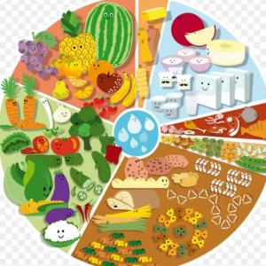 COMPOSICIÓN DE LOS ALIMENTOS