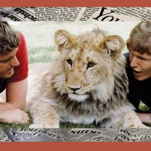 A lion Called Christian