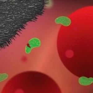 ¡MATANDO BACTERIAS!