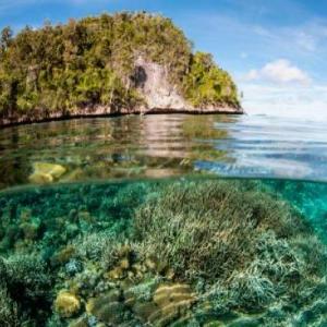 Type of Ecosystems