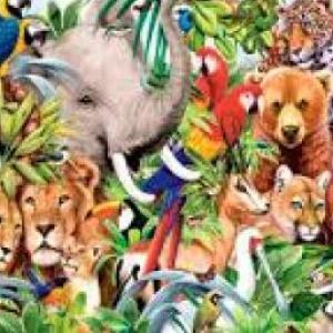 JUEGO DE ANIMALES