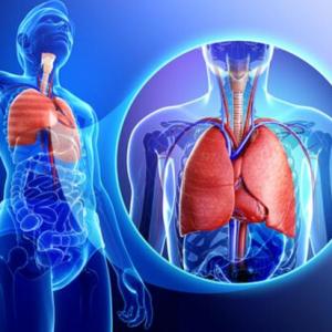 BREATHING SYSTEM