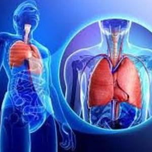 BREATHING SYSTEM