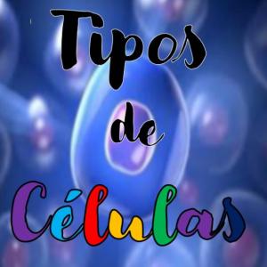 Tipos de células