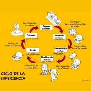 EL CICLO DE LA EXPERIENCIA. 