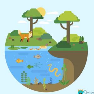 Aprendamos de ecosistemas
