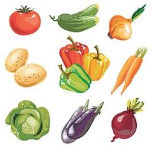 Reproducción Vegetal-Asexual