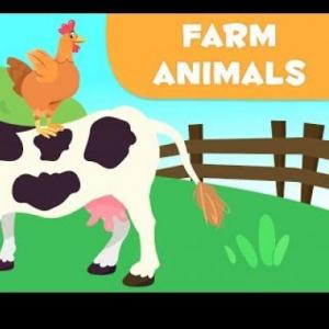 Farm Animals