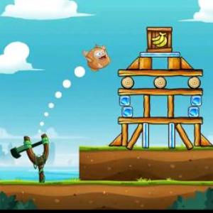 Catapult Quest