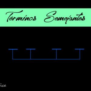 REDUCCIÓN DE TÉRMINOS SEMEJANTES